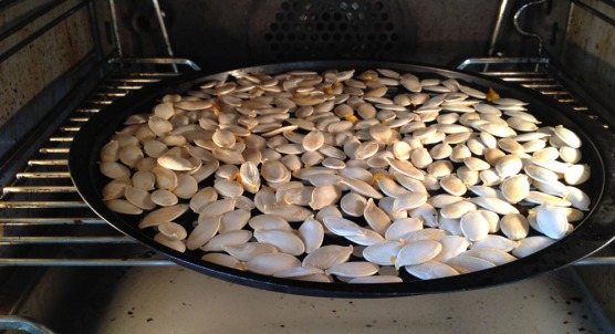 drying out pumpkin seeds in a slow oven_091113 | ellen world / gardens